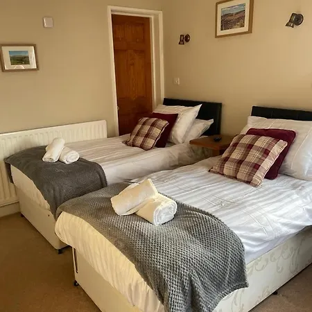 The Board ברייסון סיטי